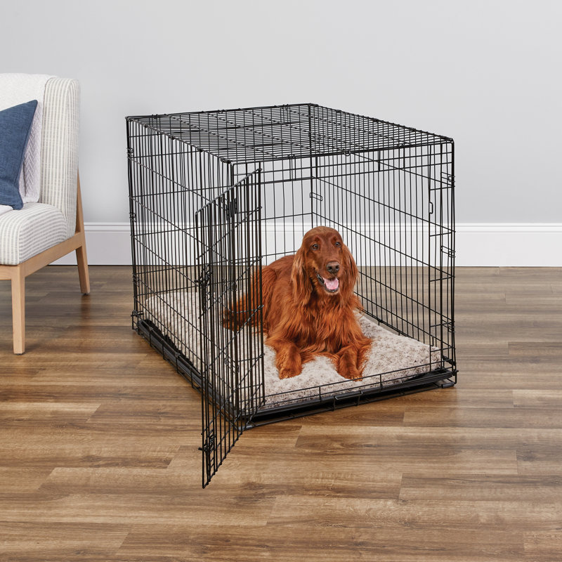 MidWest Homes for Pets Newly Enhanced Single Door iCrate Dog Crate Includes Divider Panel Reviews Wayfair